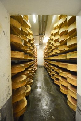 cdf cooperative-aime-été2024-©infosnews-7.jpg