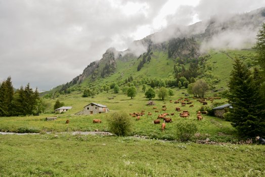 Emmontagnée- COTE D'AIME-été-2025-©infosnews-92.jpg