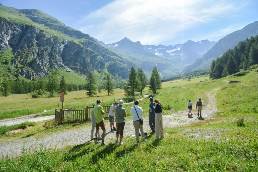 Refuge de Rosuel-peisey-Vallandry-©infosnews--90.jpg