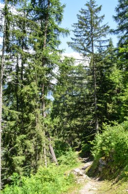 Sentier des contemplations-Courchevel-été2024-©infosnews-14.jpg