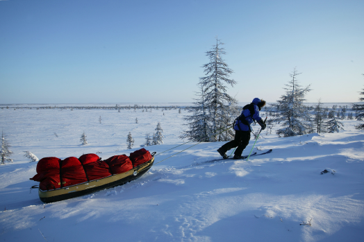 ARKTOS ©SebastianDevenish_231.png