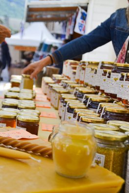 Salon agriculture-BSM-été2024-©infosnews-56.jpg