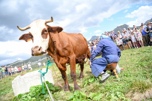 fete-de-l-alpage-ete-2019-41-jnj-667e6a589690f201931561.jpg