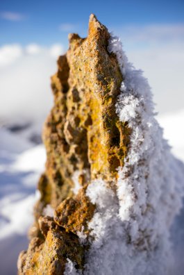 Macro_neige-OTGP_JYM-7680.JPG