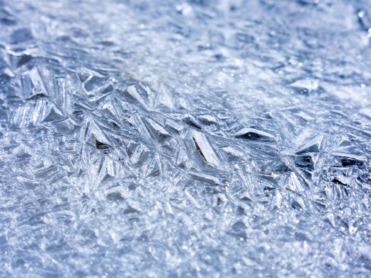 Zoom_sur_la_neige-OTGP_JYM-5436.JPG