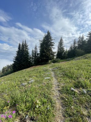 Parcours 1-montée après 1600_2.jpg