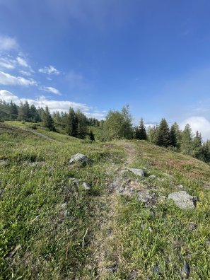 Parcours 1-montée après 1600.jpg