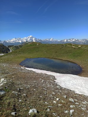 Vue Mont Blanc.jpg