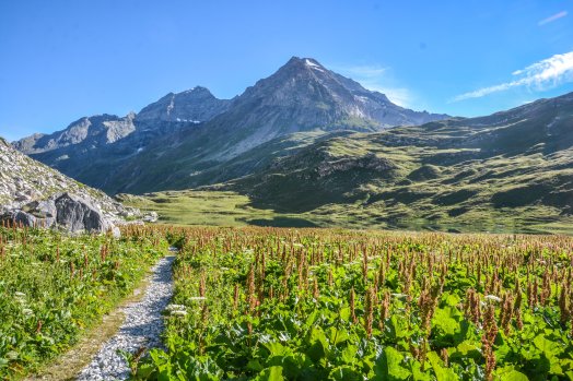 nuit-en-yourte-peisey-vallandry-ete-2022-c-infosnews-184-647f1314ca9a6565985556.jpg
