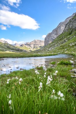 nuit-en-yourte-peisey-vallandry-ete-2022-c-infosnews-60-647f1314ca723803112809.jpg