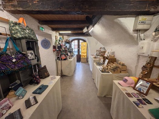 ALBERTVILLE - L'arbre à plumes ETE 2025-©infosnews-10.jpg