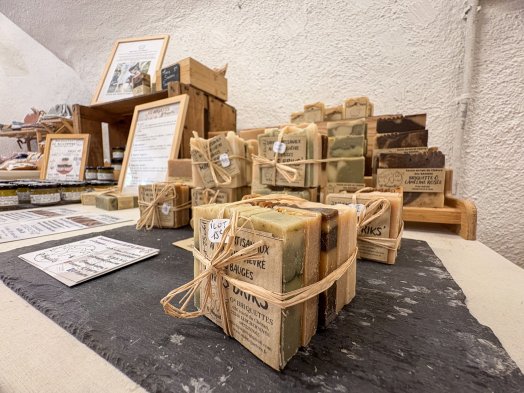 ALBERTVILLE - L'arbre à plumes ETE 2025-©infosnews-20.jpg