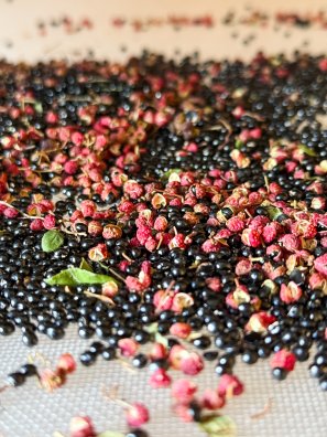 Courchevel-Jean-François Vancleef - poivre de courchevel-HIVER 2026©infosnews-15.jpg