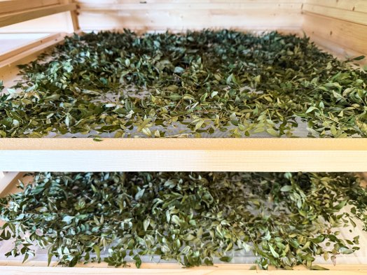 Courchevel-Jean-François Vancleef - poivre de courchevel-HIVER 2026©infosnews-18.jpg