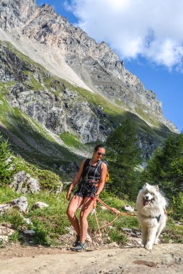 nuit-en-yourte-peisey-vallandry-ete-2022-c-infosnews-45-633c2a0a79ac4986110376.jpg
