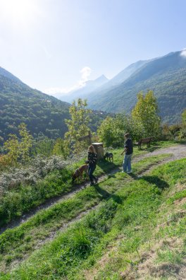 MOUTIERS ET ALENTOURS-Anima sithorse-Joëlle Duriez - Elodie Cornault HIVER 2026-©infosnews-17.jpg