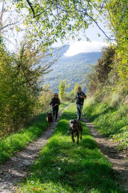 MOUTIERS ET ALENTOURS-Anima sithorse-Joëlle Duriez - Elodie Cornault HIVER 2026-©infosnews-26.jpg