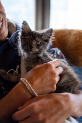 MOUTIERS ET ALENTOURS-Anima sithorse-Joëlle Duriez - Elodie Cornault HIVER 2026-©infosnews-3.jpg