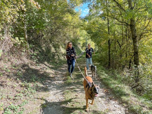 MOUTIERS ET ALENTOURS-Anima sithorse-Joëlle Duriez - Elodie Cornault HIVER 2026-©infosnews-43.jpg