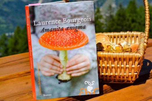 champignons Laurence Bourgeois-Les Arcs-été2024-©infosnews-129.jpg
