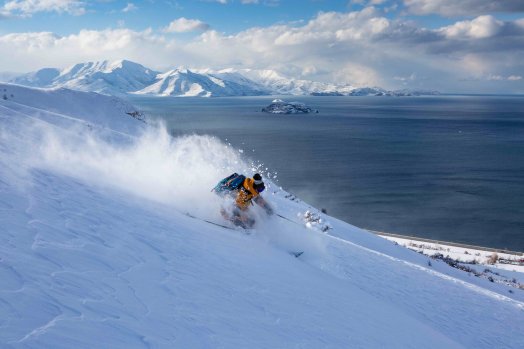 Photo 1 NL3C2567.jpg