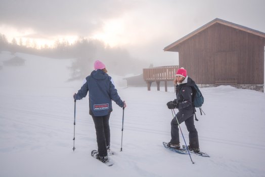 1-Plan bois-Montchavin-les-coches-hiver2024-©infosnews-35.jpg