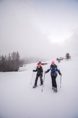 1-Plan bois-Montchavin-les-coches-hiver2024-©infosnews-40.jpg