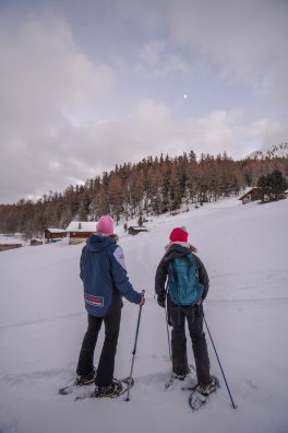 1-Plan bois-Montchavin-les-coches-hiver2024-©infosnews-49.jpg