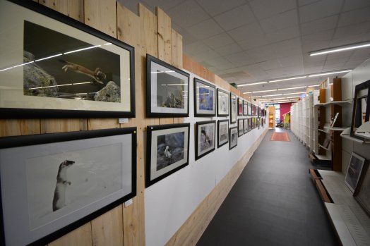 Antropia - Aime la plagne-hiver2024-©infosnews-19.jpg