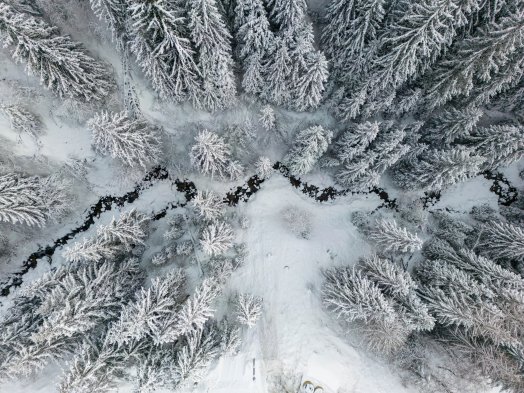 Drone_sapins_enneiges-OTGP_JYM-22505.JPG
