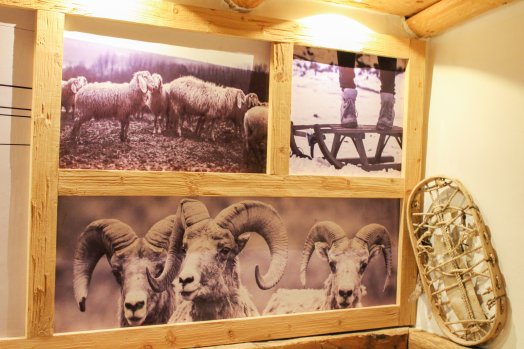 CDF la petite bergerie-Courchevel Le praz-hiver2024-©infosnews-5.jpg