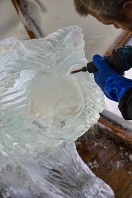 Sculpture_sur_glace-Thibault_Forcet-35940.JPG