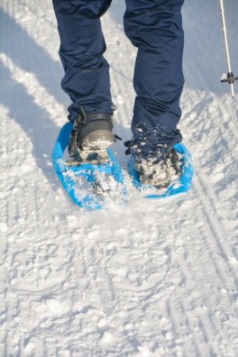 Sortie raquettes-Brides-les-Bains-hiver2024-©infosnews-17.jpg