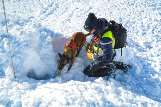 Exercice Recherche de victimes d'avalanche Orelle-hiver2025-©infosnews-66.jpg