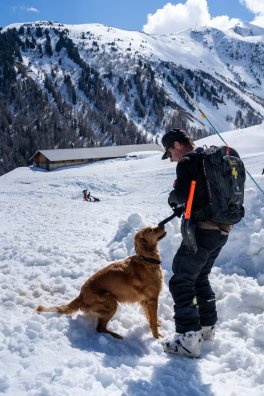 Recyclage_chiens_d_avalanche_La_Plagne--36893.JPG