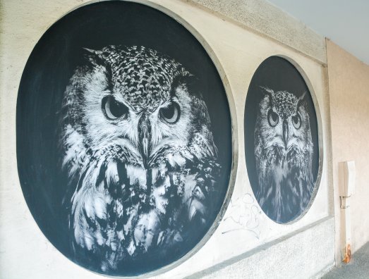 3-Visite Street Art Moûtiers Hiver-2020 © Infosnews-11.jpg