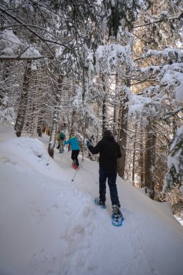 Sortie raquettes-Brides-les-Bains-hiver2024-©infosnews-103.jpg