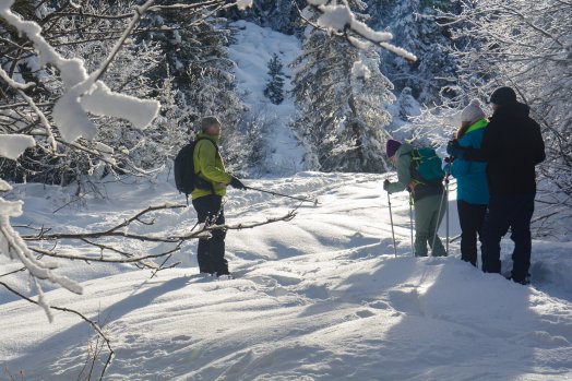 Sortie raquettes-Brides-les-Bains-hiver2024-©infosnews-30.jpg