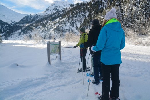 Sortie raquettes-Brides-les-Bains-hiver2024-©infosnews-50.jpg