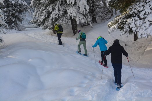 sortie-raquettes-brides-les-bains-hiver2024-c-infosnews-20-67b321205d751161182072.jpg