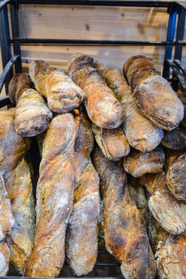 Montchavin - Esquilo©infosnews2-22.jpg