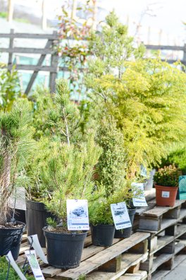 Aime - Fleurijardin - France©infosnews-22.jpg