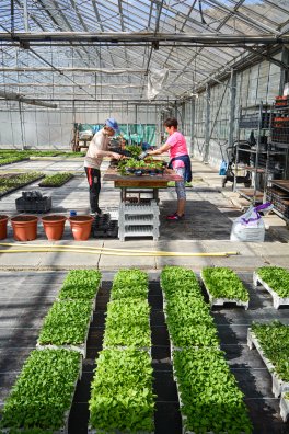 Aime - Fleurijardin - France©infosnews-27.jpg