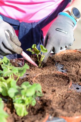 Aime - Fleurijardin - France©infosnews-7.jpg