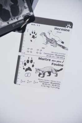 La Tania - Raquettes-HIVER 2026©infosnews-31.jpg