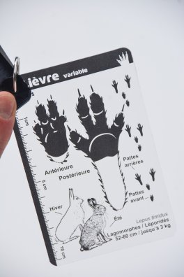 La Tania - Raquettes-HIVER 2026©infosnews-32.jpg