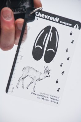 La Tania - Raquettes-HIVER 2026©infosnews-33.jpg