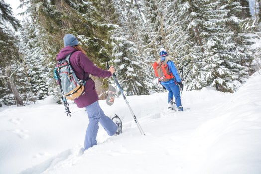 La Tania - Raquettes-HIVER 2026©infosnews-35.jpg