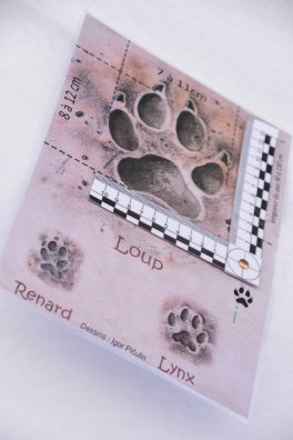 La Tania - Raquettes-HIVER 2026©infosnews-49.jpg