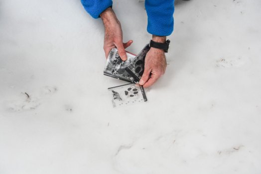 La Tania - Raquettes-HIVER 2026©infosnews-7.jpg